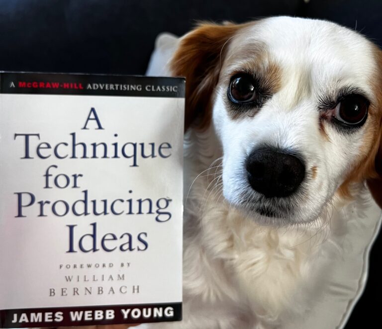 A Technique for Producing Ideas by James Webb Young