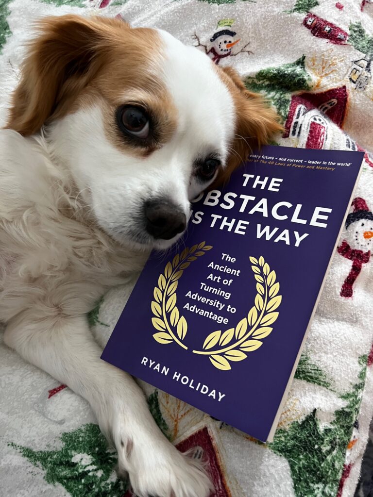 The Obstacle Is The Way by Ryan Holiday