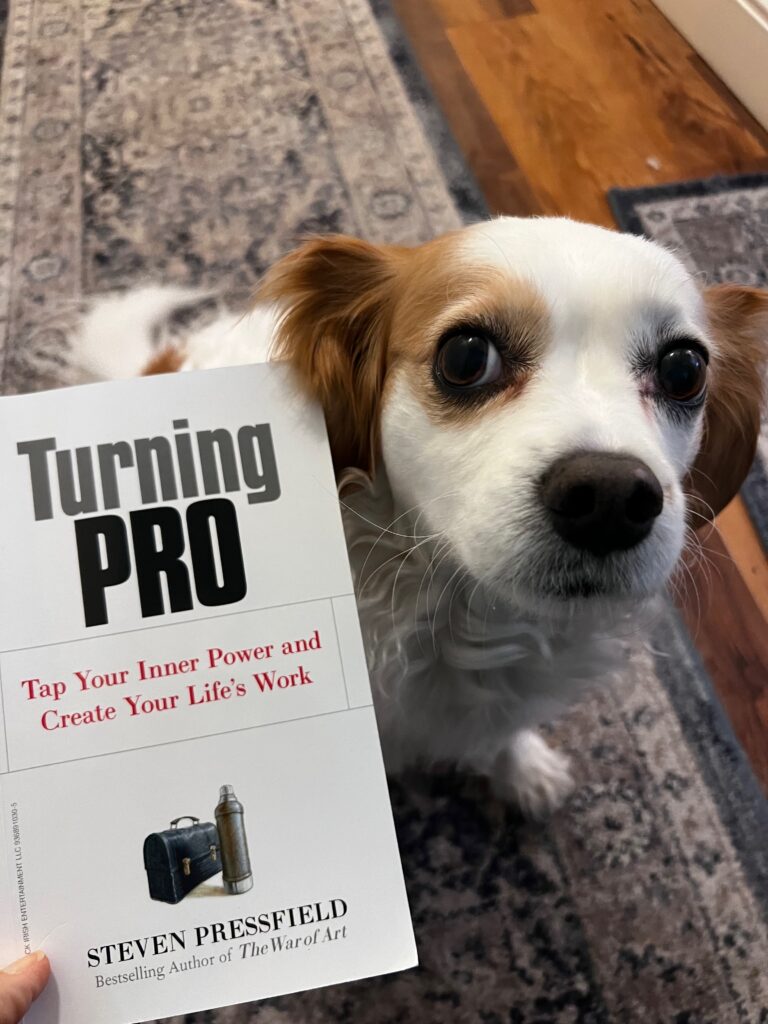 Turning Pro: Tap Your Inner Power and Create Your Life’s Work by Steven Pressfield