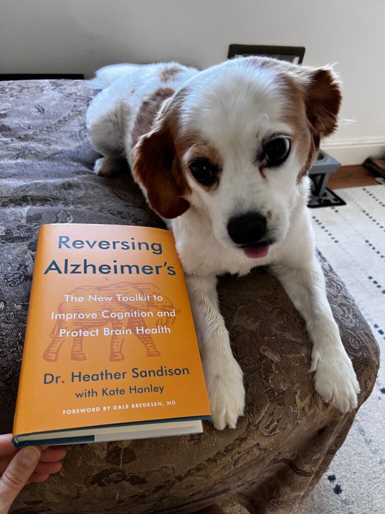 Reversing Alzheimers