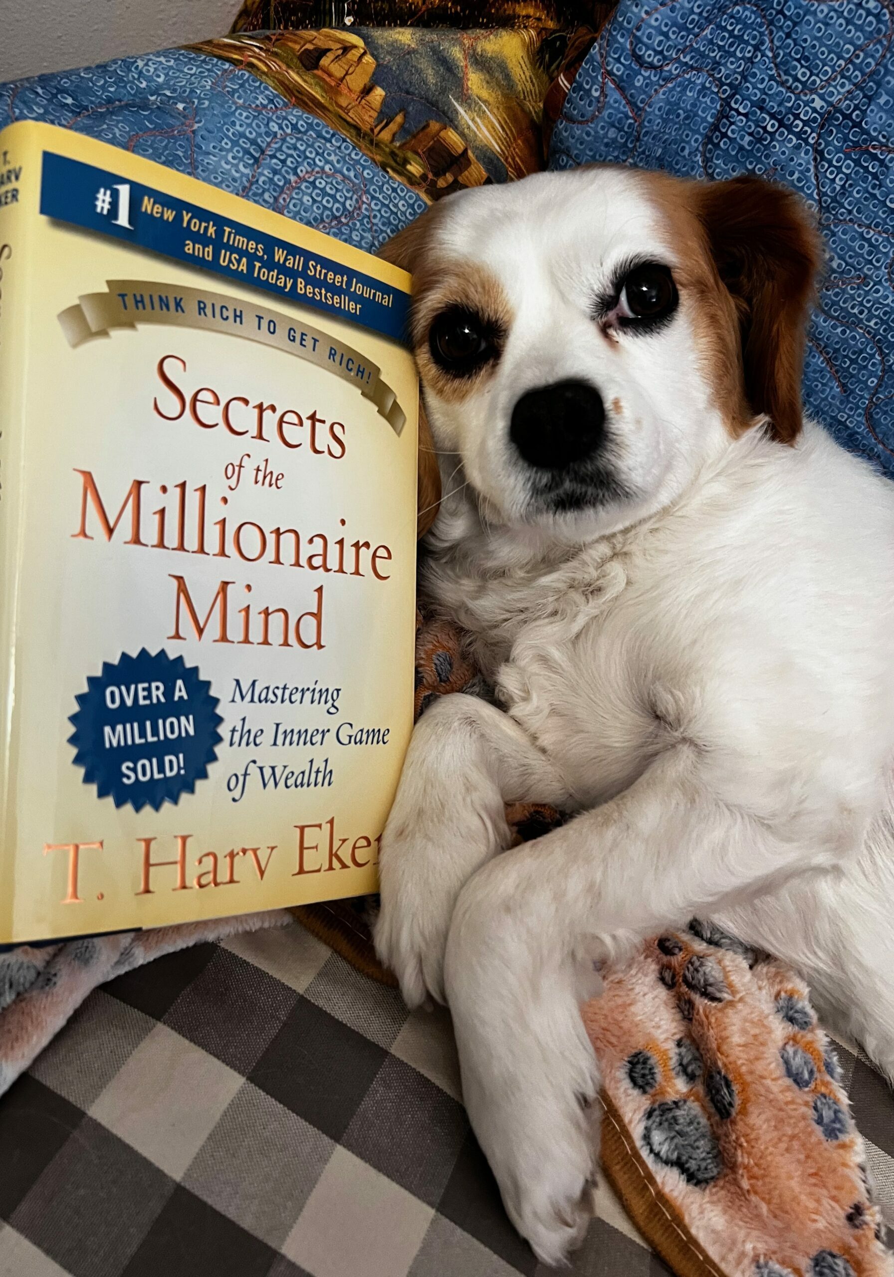 Secrets of the Millionaire Mind