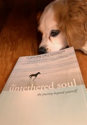 The Untethered Soul Michael Singer