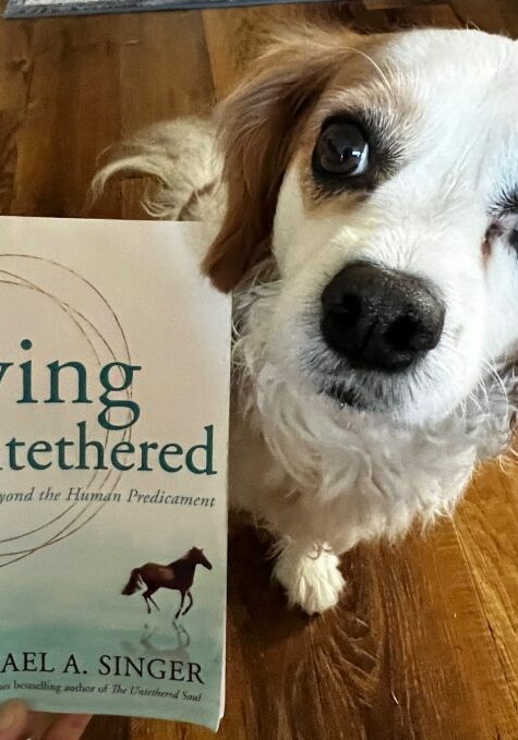 Living Untethered: Beyond The Human Predicament