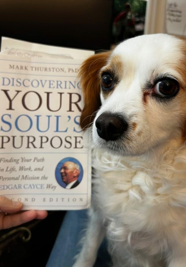 Discovering Your Soul's Purpose