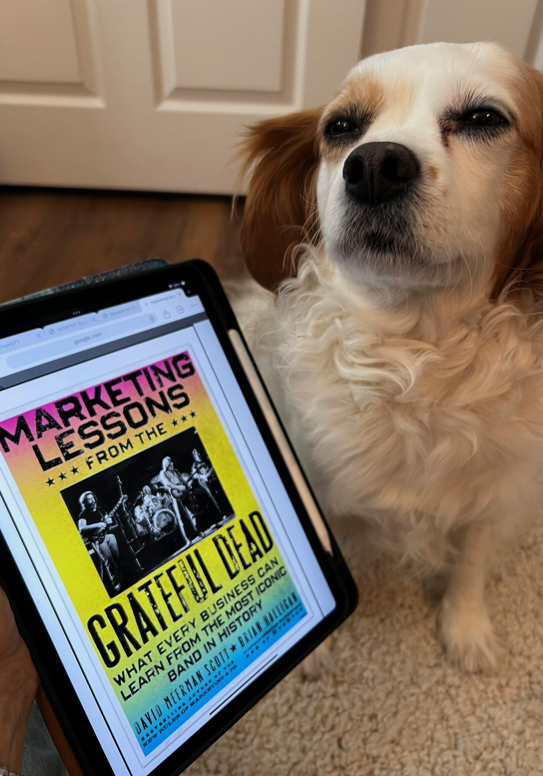 The Grateful Dead Marketing Lessons